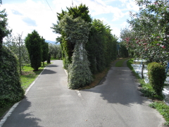 b0147224_0585395.jpg