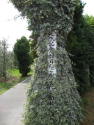 b0147224_0591928.jpg