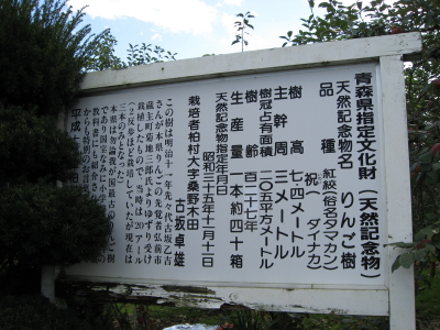 b0147224_105195.jpg