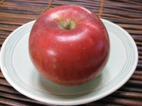 b0147224_1221626.jpg