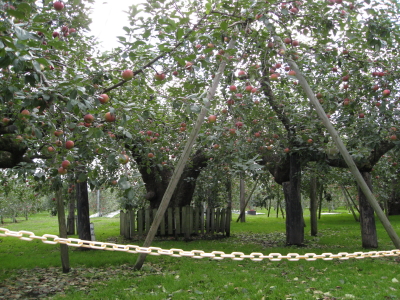 b0147224_135173.jpg