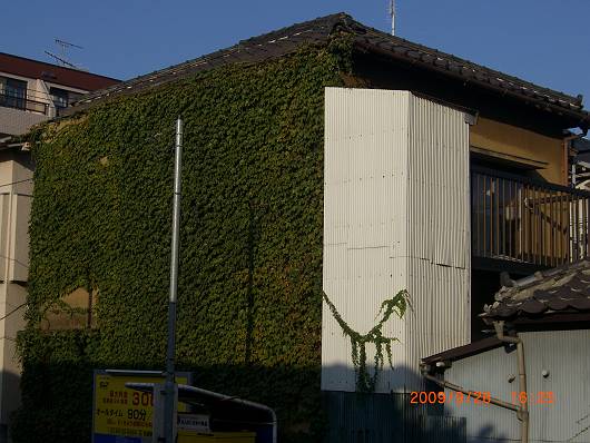 d0065324_23491477.jpg