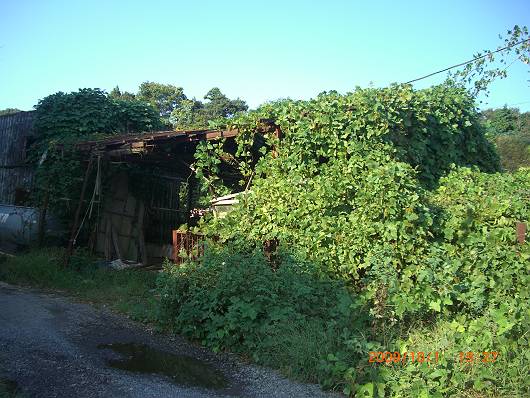 d0065324_23542991.jpg