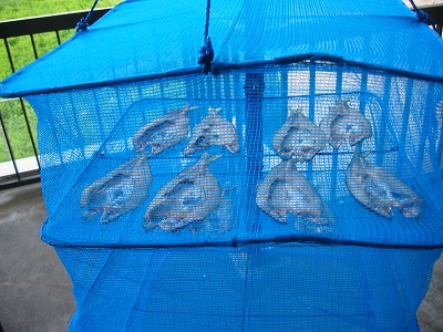 f0203324_2112976.jpg