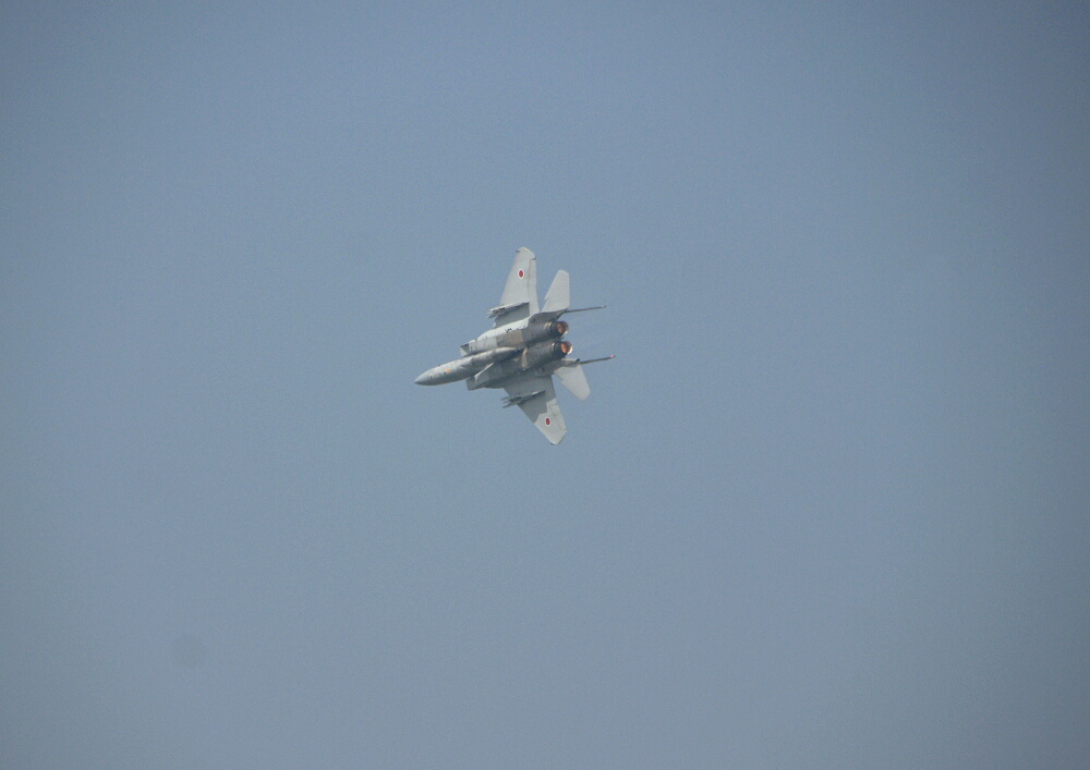 2009 百里基地航空祭（その1）～F-15・靄の中の機動飛行～_d0137627_025337.jpg