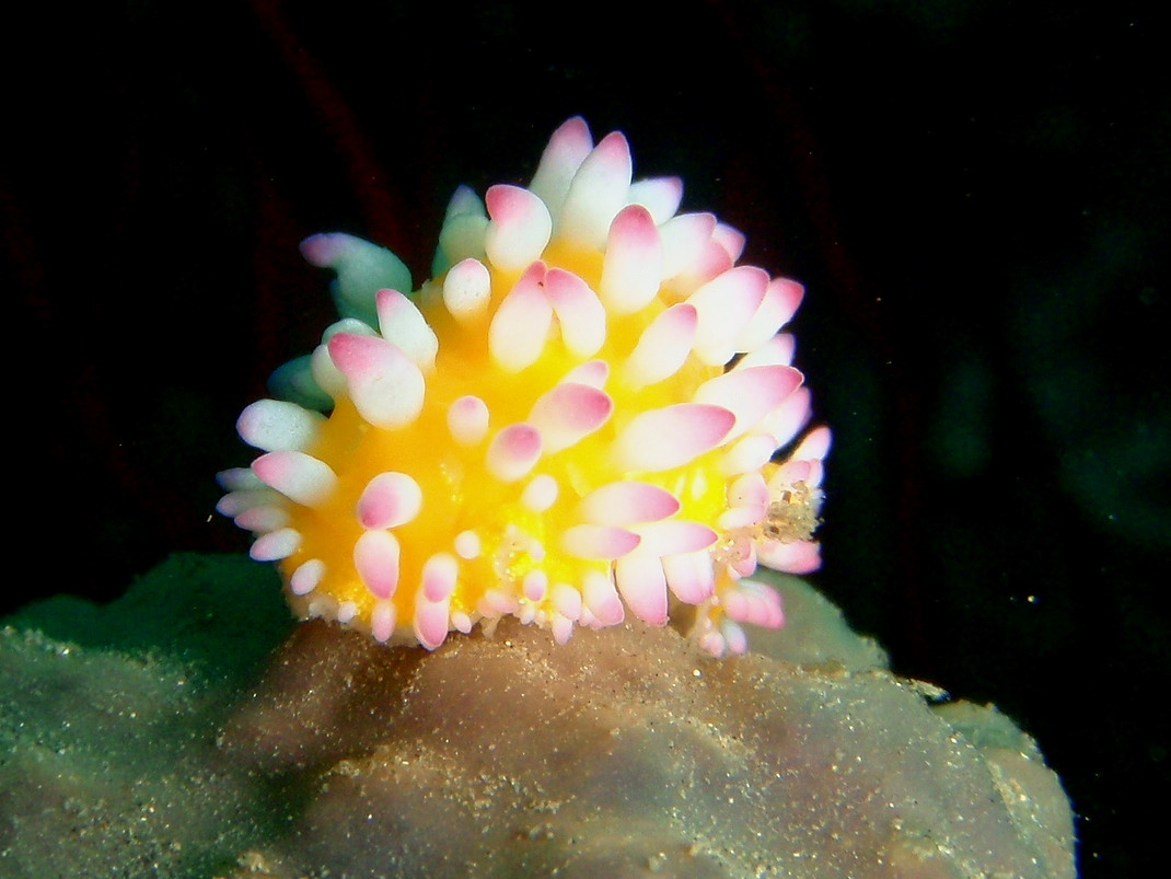 c0034029_64792.jpg