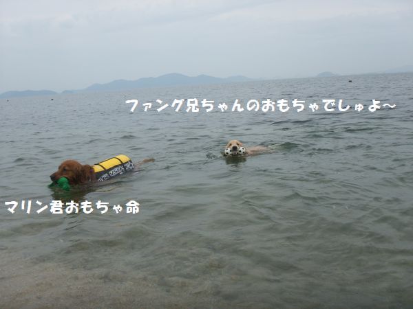 琵琶湖にてＲカフェ前　湖畔にて～～パート２_b0127531_174855100.jpg