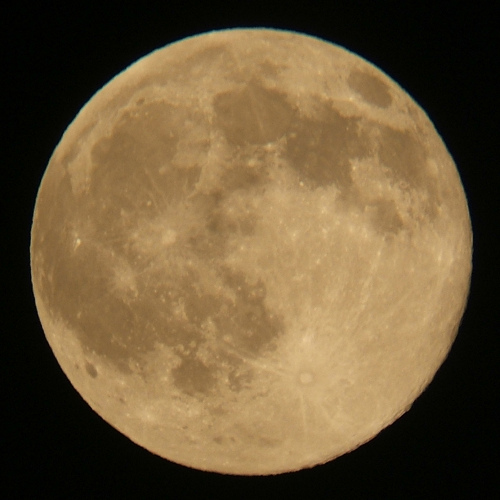 e0089232_1884753.jpg