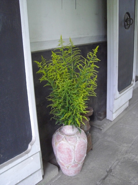 e0081334_14142.jpg