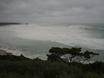 e0041337_183896.jpg