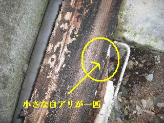 見積もり・他_f0031037_2083048.jpg