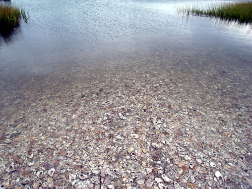 b0188839_2239471.jpg