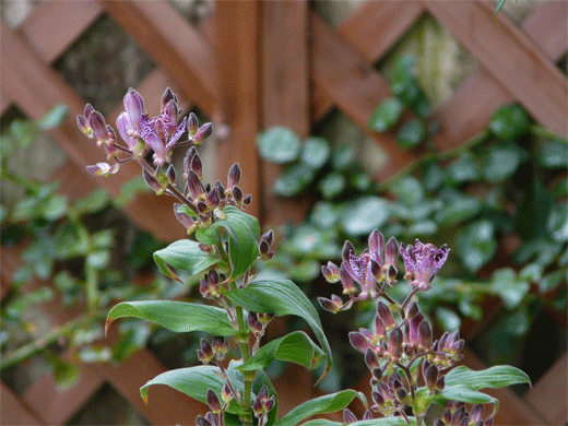 a0056140_15272333.gif