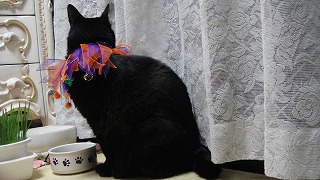 10月といえばハロウィン_e0195743_2145552.jpg