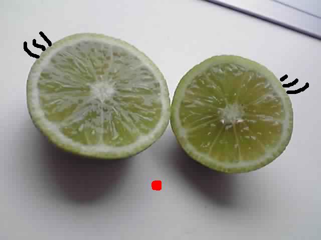 b0147444_10334777.jpg