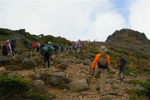c0081645_1134659.jpg