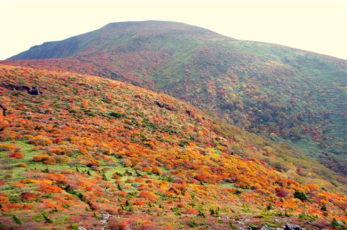 c0081645_11425680.jpg