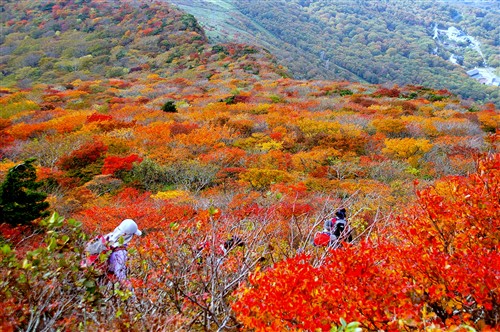 c0081645_11534594.jpg
