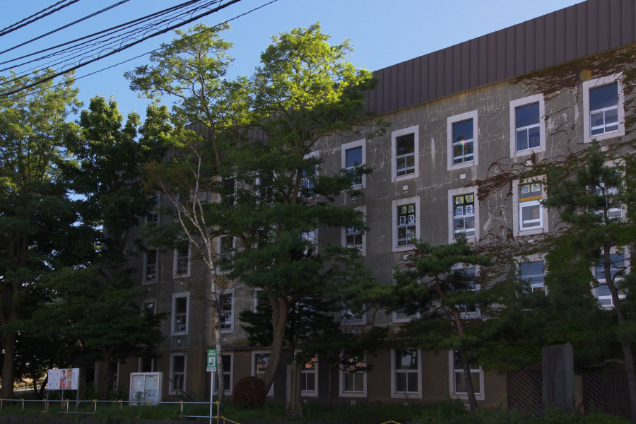 d0001745_3564456.jpg
