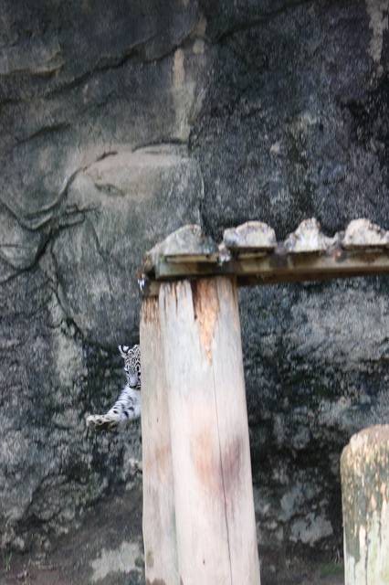 e0123945_62367.jpg