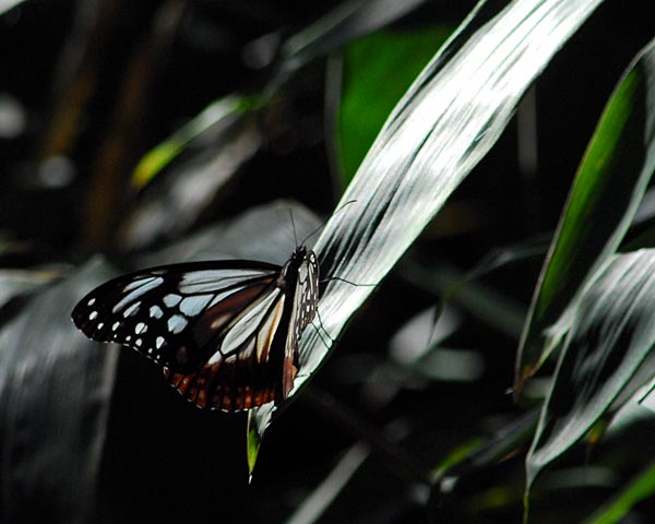 e0035757_22154881.jpg