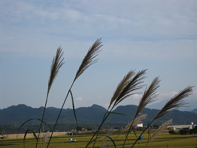 c0190960_762414.jpg