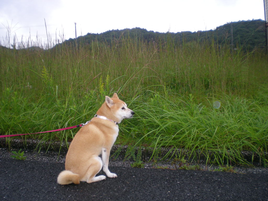 １０月６日（火）台風１８号来たる！_f0060461_1382226.jpg