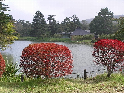b0145863_1804444.jpg