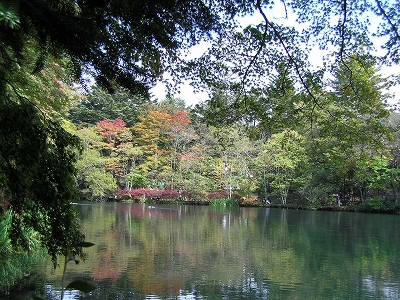 b0145863_1853553.jpg