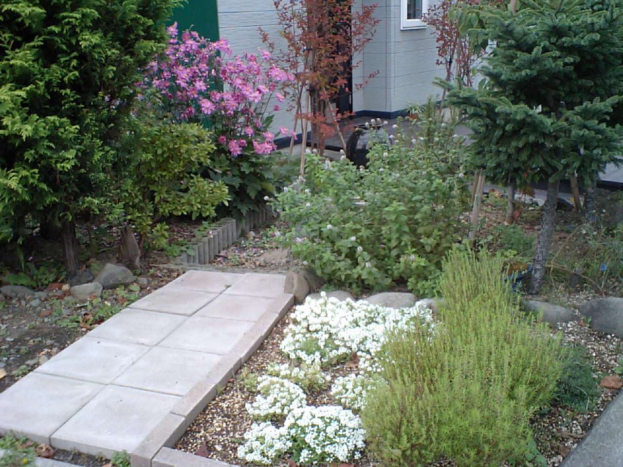 d0098665_18471812.jpg