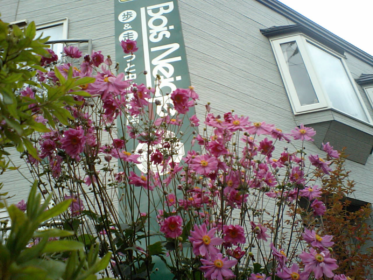 d0098665_1847674.jpg