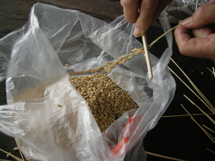 f0164374_20302520.jpg