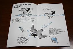 三宅島内、配布物事情_c0204385_173098.jpg