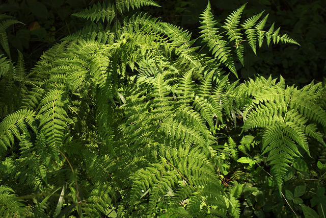 b0159790_2362338.jpg