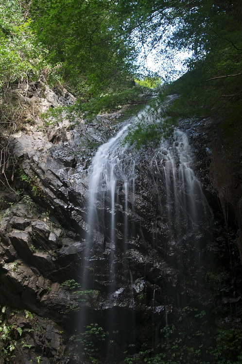 b0178292_2338425.jpg
