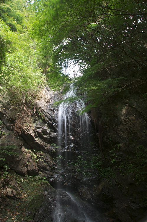 b0178292_2338561.jpg