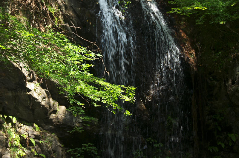 b0178292_234269.jpg