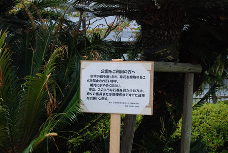 c0049095_23121115.jpg