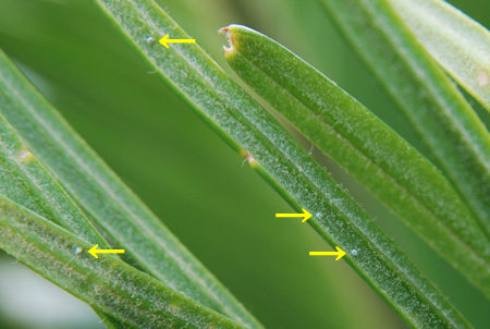 c0049095_23151658.jpg