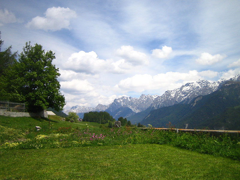 c0171899_1434135.jpg