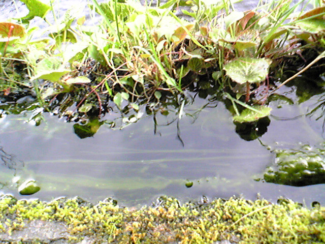 a0073000_1332522.jpg