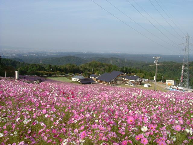 d0122401_8572460.jpg