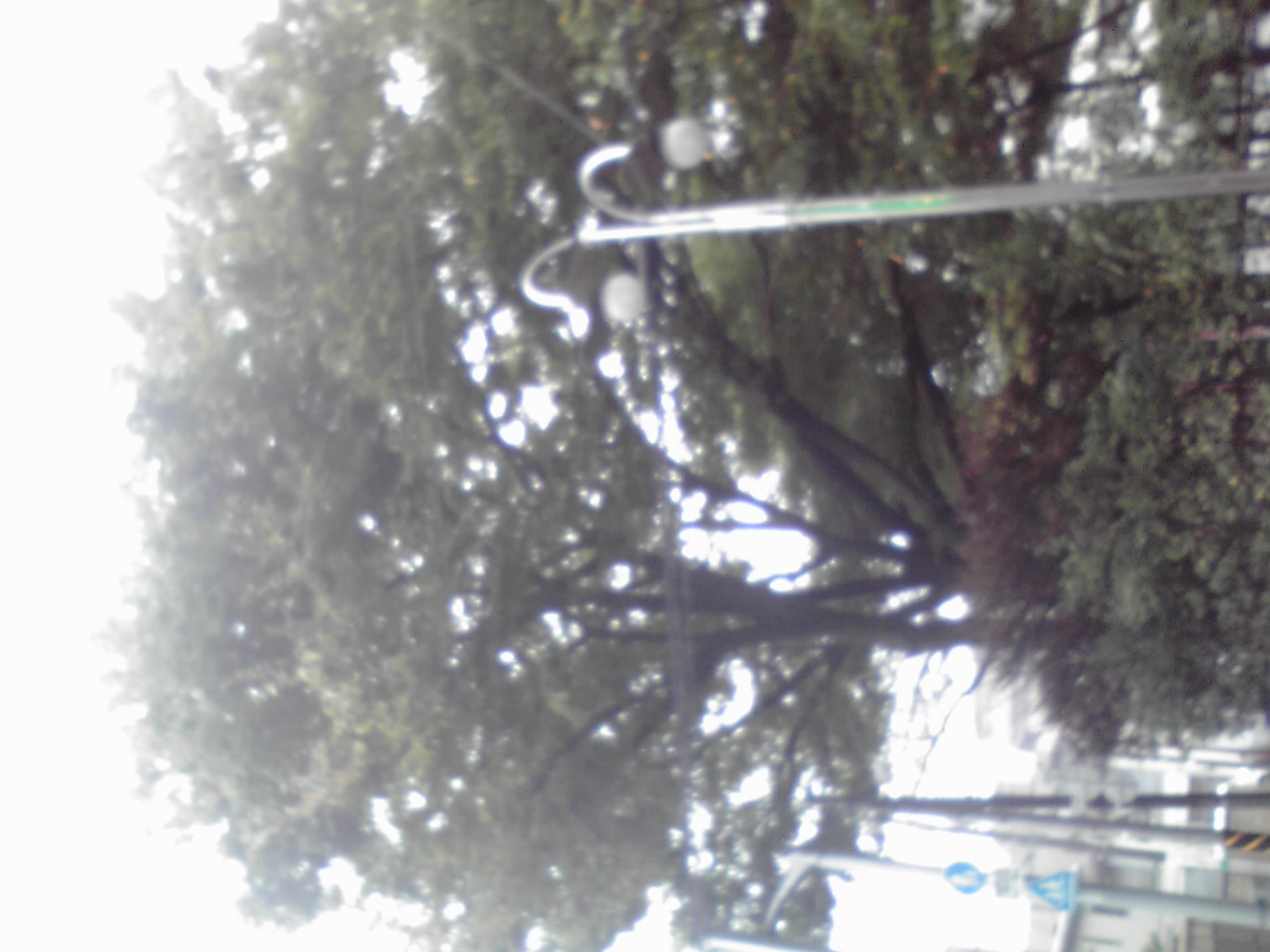 c0190103_7461572.jpg