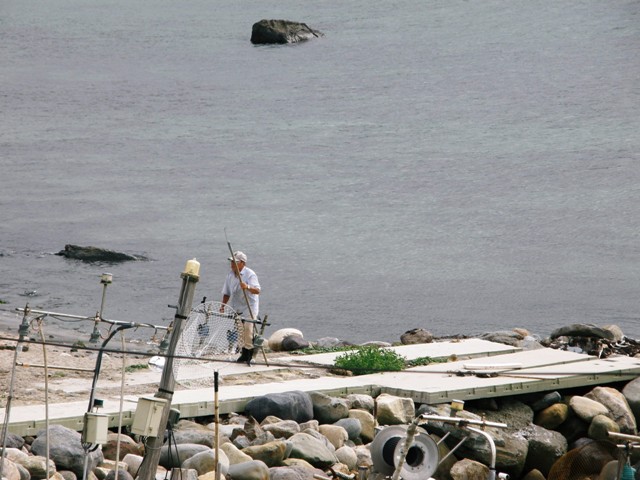 f0036603_14572061.jpg