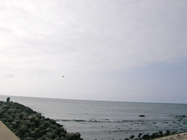 f0036603_145728.jpg