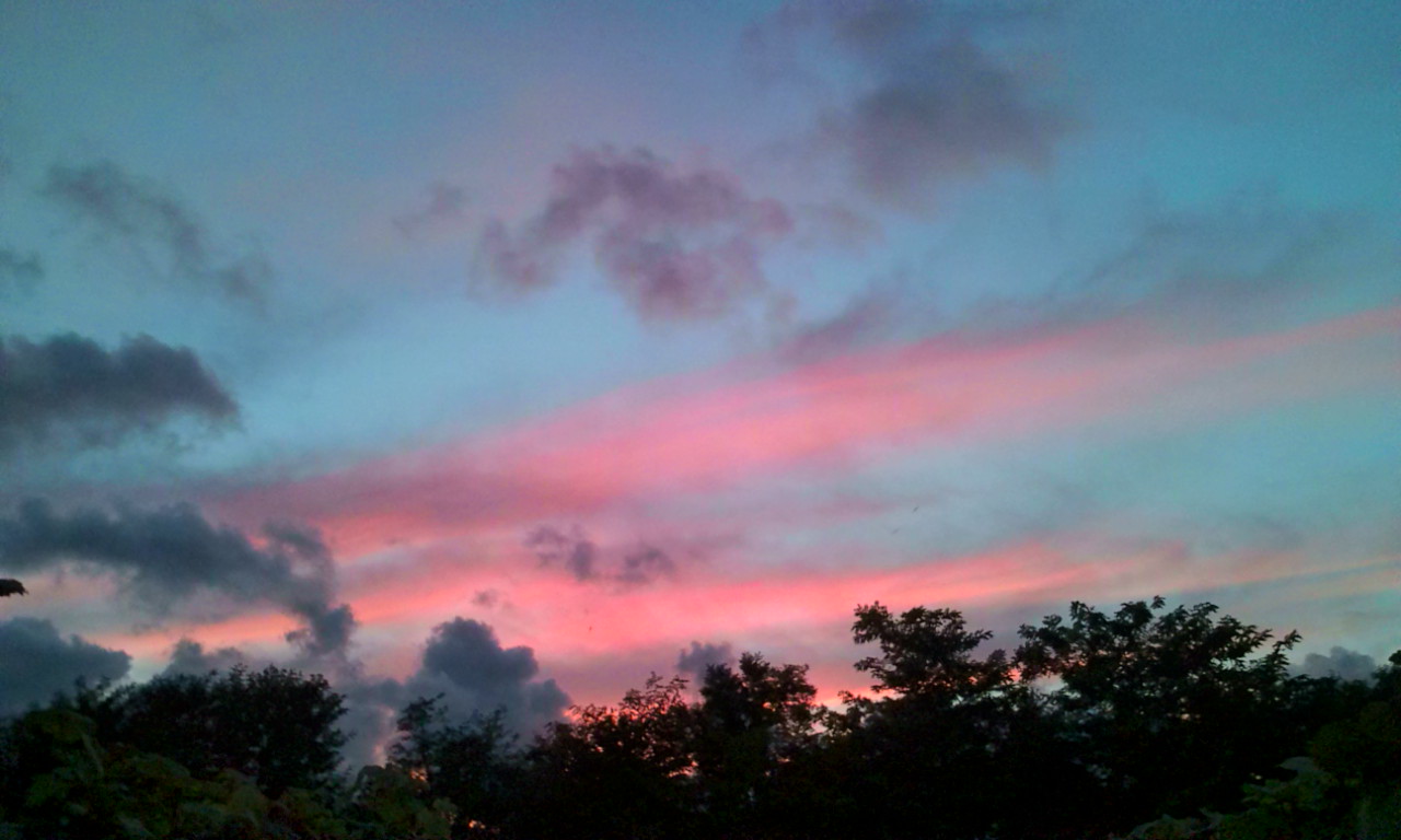 f0200604_22382829.jpg