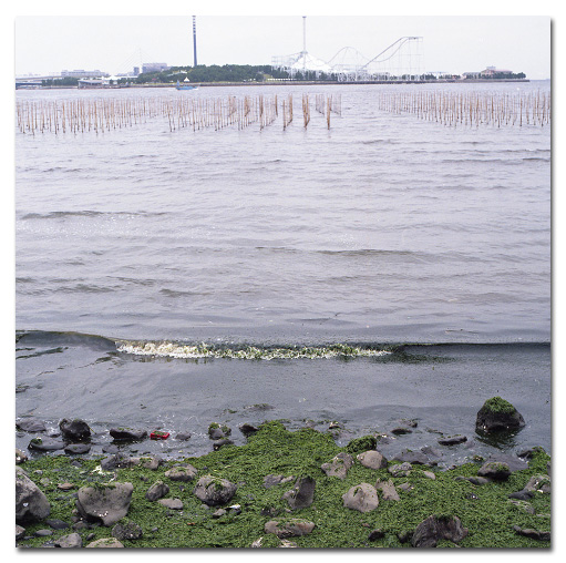226 海苔ひび At The Port 226 海苔ひび At The Port