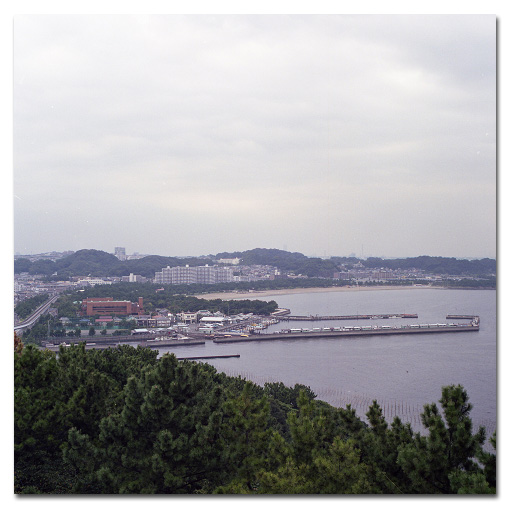 226 海苔ひび At The Port 226 海苔ひび At The Port