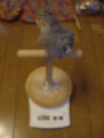 b0026408_22451323.jpg