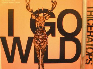 c0015010_1536492.jpg